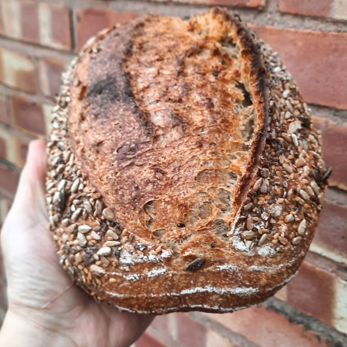 Seeded Organic Country Loaf 1kg Dough Taunton