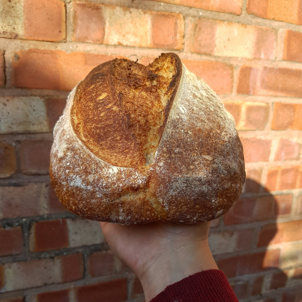 Organic Country Loaf 1kg Dough Taunton